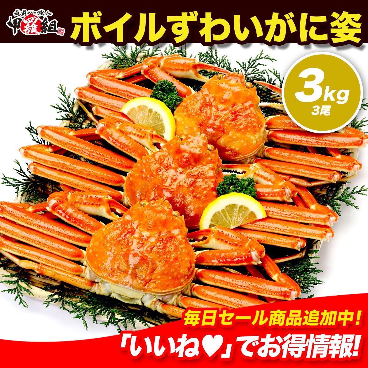 ボイルずわいがに姿 3kg (3尾)　業務用 産地箱 カニ かに 蟹 鍋 カニ鍋 メガ盛 冷凍 海鮮 通販 魚介 グルメ お取り寄せ