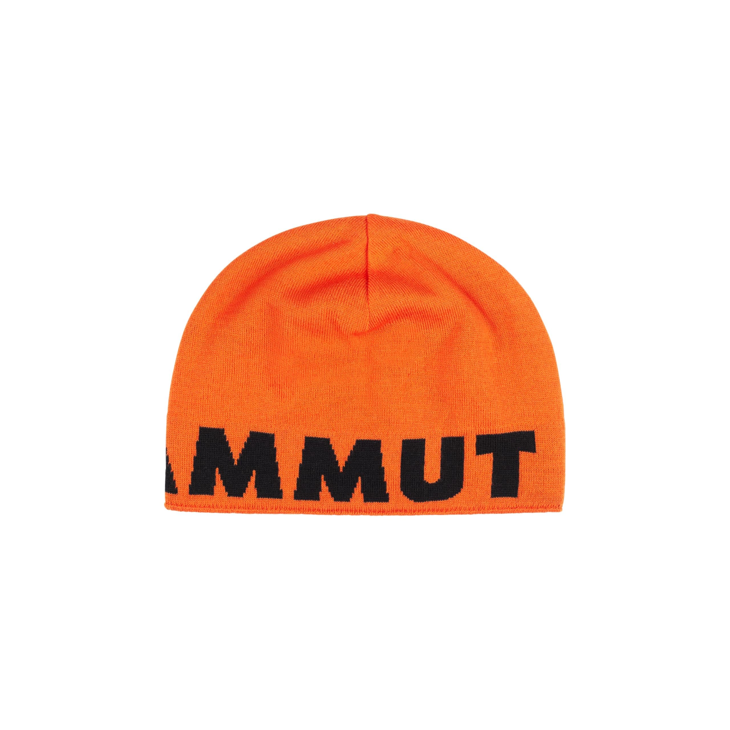 MAMMUT(マムート) ビーニーマムート ロゴ ビーニー/Mammut Logo Beanieユニセックス大人
