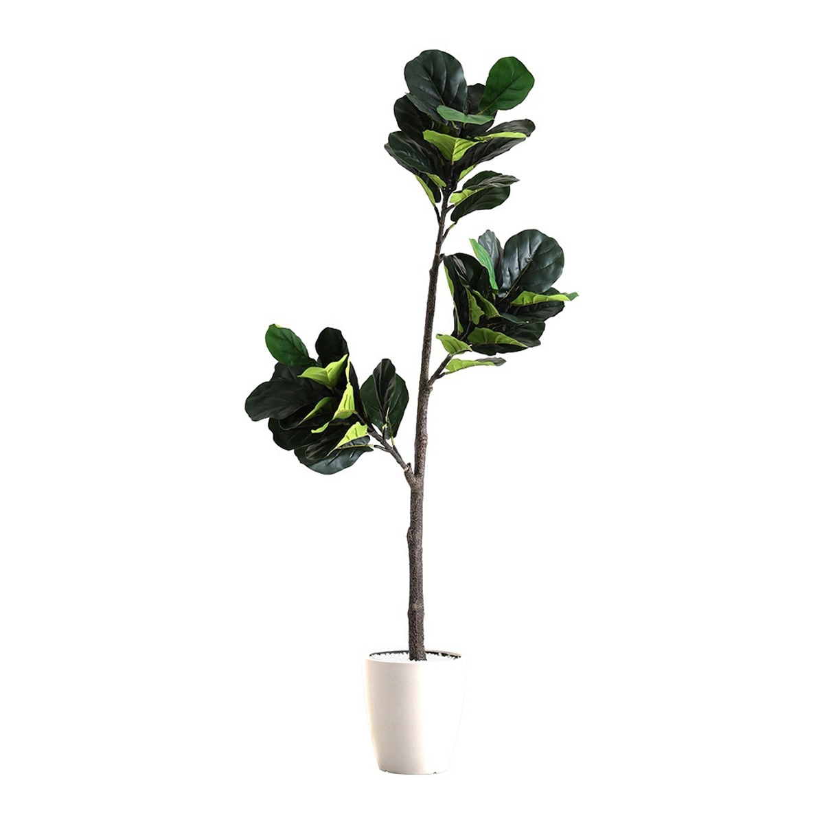 お手入れ簡単フェイクグリーン フィカス・リラータ Mサイズ 150cm 人工観葉植物 おしゃれ インテリア