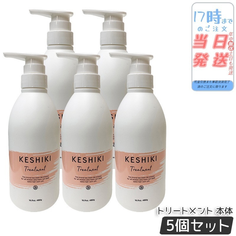 【5個セット】ケシキ ヘアトリートメント 480g 本体 KESHIKI ヘアトリートメント 潤い成分 美容液 保湿成分 ダメージ補修 サロン専売品 美容室 美容院 天然由来成分