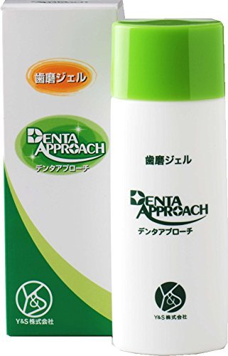 デンタアプローチ90g3本セット