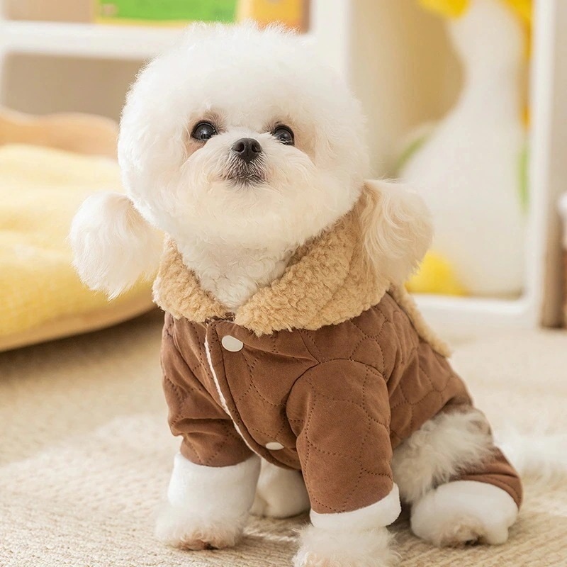Qoo10] 秋冬の犬服 テディボーミペットのコキシナ : 犬用品