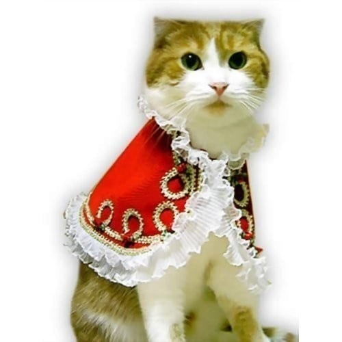 愛猫の服 キャットプリン マーガレット王女ちゃまのドレス(レッド) 1枚　キャットウエア 付け襟 ネックカラー 帽子 コスプレ