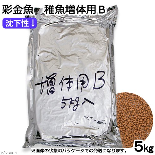 彩金魚　稚魚増体用Ｂ　沈下性　５ｋｇ　金魚のえさ　金魚の餌　ＣＲＣ10―41―60―10―00