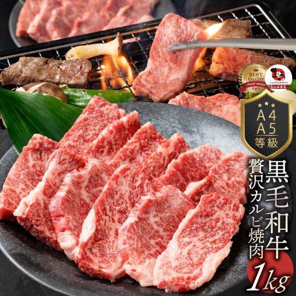 牛肉 肉 カルビ焼肉 1kg (250g×4) 今だけ焼肉のタレ付き 凍眠 テクニカン 黒毛和牛 A4,5等級 とろける お中元 ギフト 食品 プレゼント お祝い