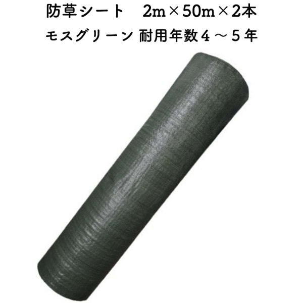 防草シート 2m50m 2本セット 耐久年数4年から5年 モスグリーン 抗菌剤 UV剤入り 人工芝