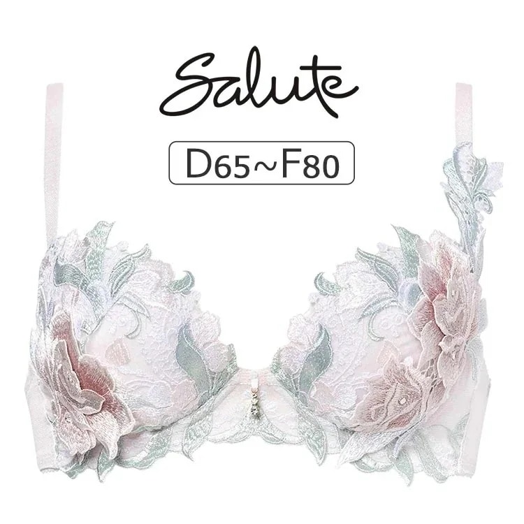 ワコール サルート 22G ブラジャー単品 P-upタイプ DEFカップ アンダー 65/70/75/80cm BTJ422