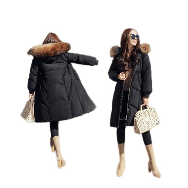 ダウンコート レディース フード 中綿 ジャケット ファスナー ロング 春秋冬 防寒防風