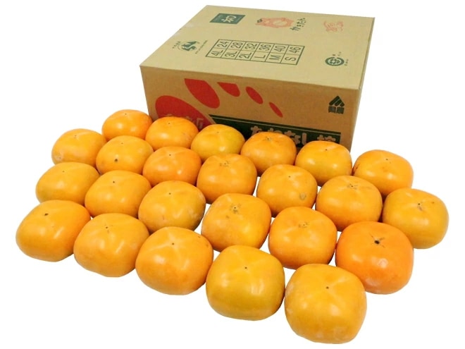 和歌山産=たねなし柿=訳あり 超大玉4L 24玉 約7.5kg 予約 10月以降