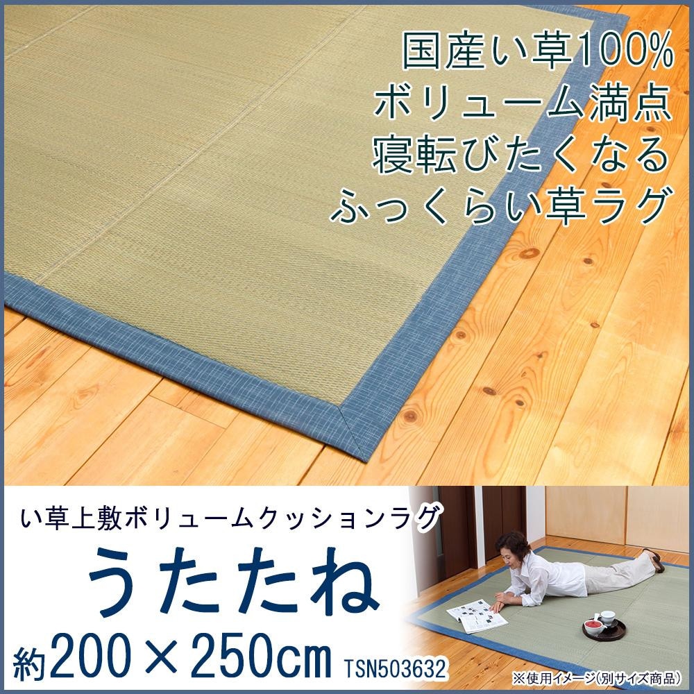 い草上敷ボリュームクッションラグ うたたね 約200×250cm TSN503632