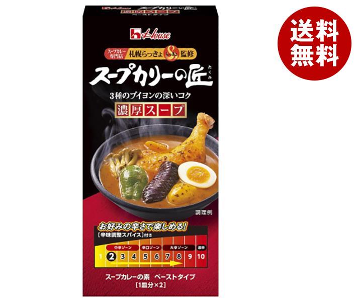 ハウス食品 スープカリーの匠 ペーストタイプ 濃厚スープ 119g＊10個入＊(2ケース)