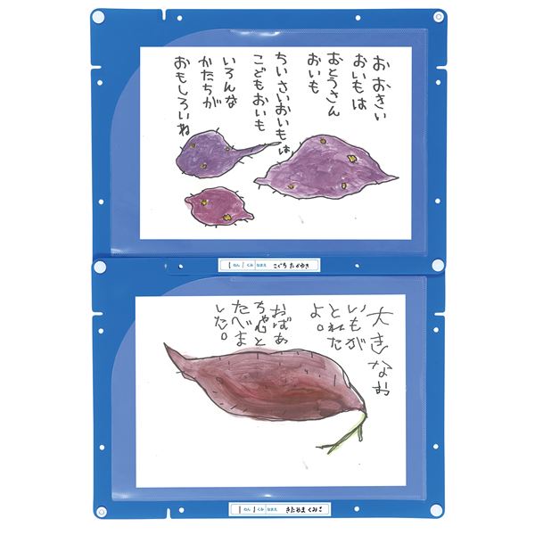 （まとめ）縦横連結掲示ホルダー A4[x50セット]