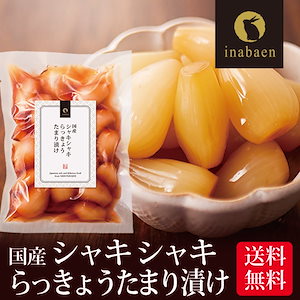 漬物 しゃきしゃき らっきょう たまり漬け 140g メール便 漬け物 国産 お漬物 ご飯のおとも【SIN】