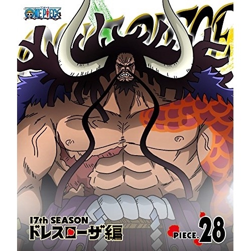 ONE PIECE ワンピース 17th ドレスローザ編 18th ゾウ編 DV