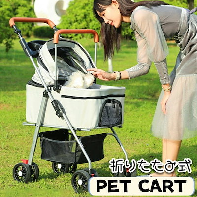 サイエンティフィックアングラーズ SA System #5 50周年 木箱入り