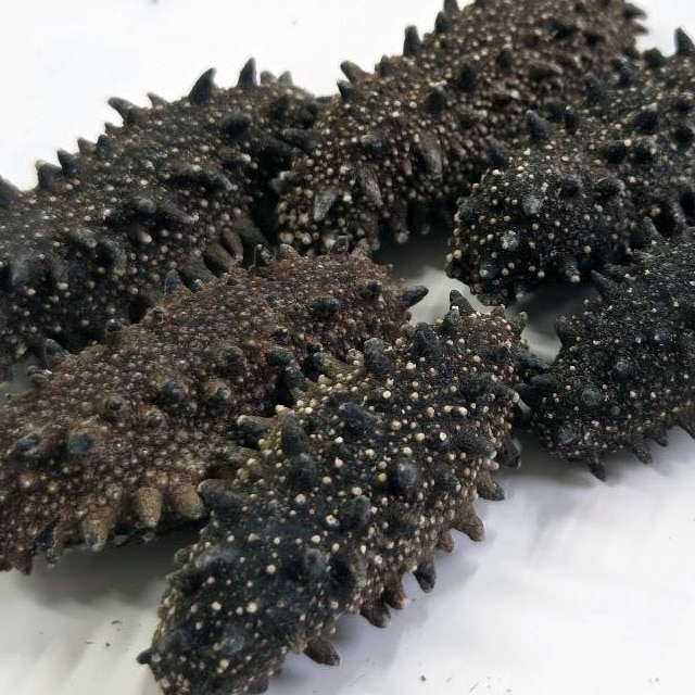 北海道産 天然乾燥ナマコ【特撰A級品】L-2Lサイズ100g（約6-13個入）海黒ダイヤ