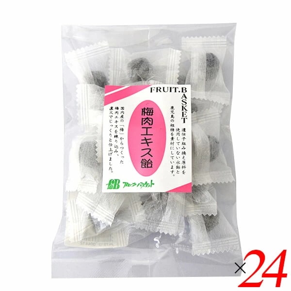 梅飴 梅 飴 フルーツバスケット 梅肉エキス飴 80g 24個セット