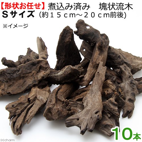 形状お任せ　煮込み済み　塊状流木　Ｓサイズ（約１５ー２０ｃｍ）　１０本　レイアウト素材　ＣＲＣ21―10―20―20―00
