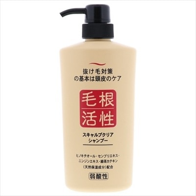 【メーカー/問屋直送品】スキャルプクリアシャンプー*12点セット