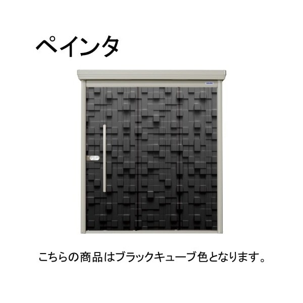 ブラックキューブ PEINTE(ペインタ) 中・大型物置 多雪型/結露減少型 側面棚 メーカー直送