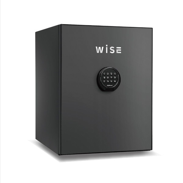 WS500ALDG ダークグレイ WiSE [プレミアム金庫(36L/テンキー式/アラーム機能)] メーカー直送
