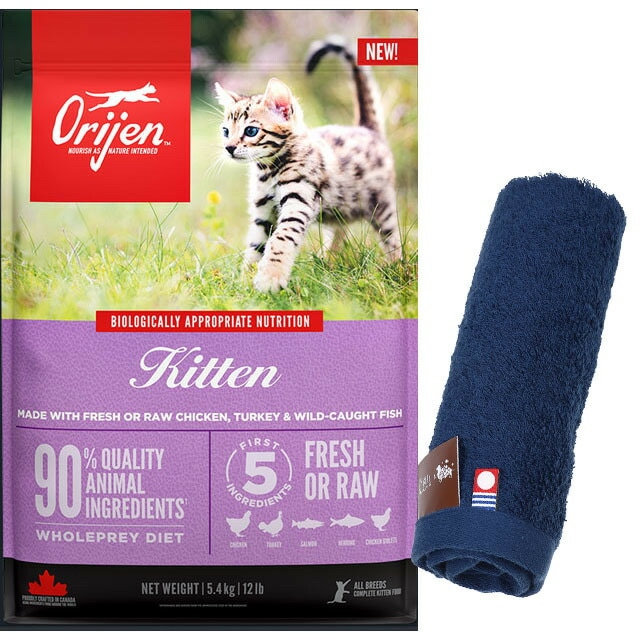 【正規品】オリジン キトゥン 5.4kg【犬想いオリジナル今治ハンドタオルセット】【タオルカラー ネイビー】