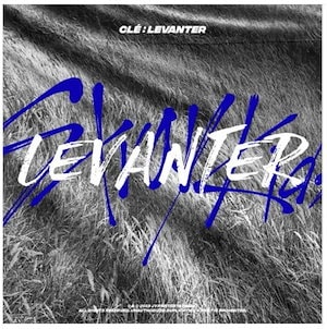 Stray Kids / 스트레이 키즈 / ストレイキッズ Clé : LEVANTER