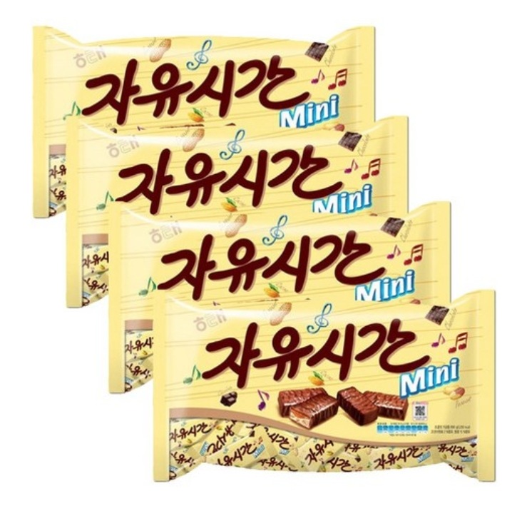 自由時間 ミニ リアルチョコ480g4個 5,049円