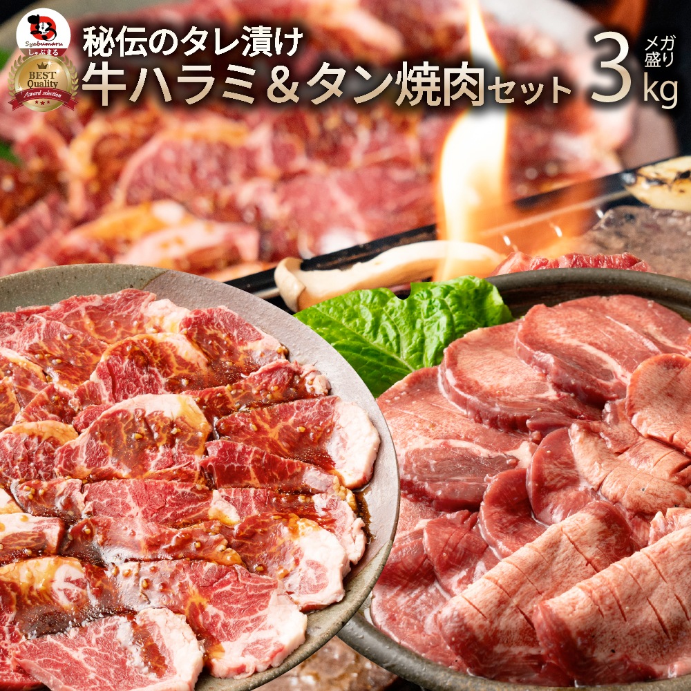 肉 牛肉 タレ漬け 牛ハラミ ＆ 牛タン 焼肉セット 3kg（250g×12） お歳暮 クリスマス ギフト 食品 祝い プレゼント BBQ 焼肉 冷凍