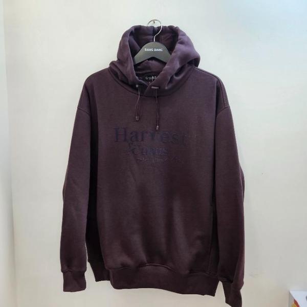 BANG BANG HC19 メンズ ウィンターレタリングオーバーフィット起毛パーカーTシャツ CTL630 (S41530453)