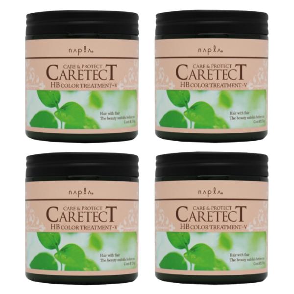 ナプラ ケアテクトHB カラートリートメントV ハリ・コシタイプ 250g 4個セット