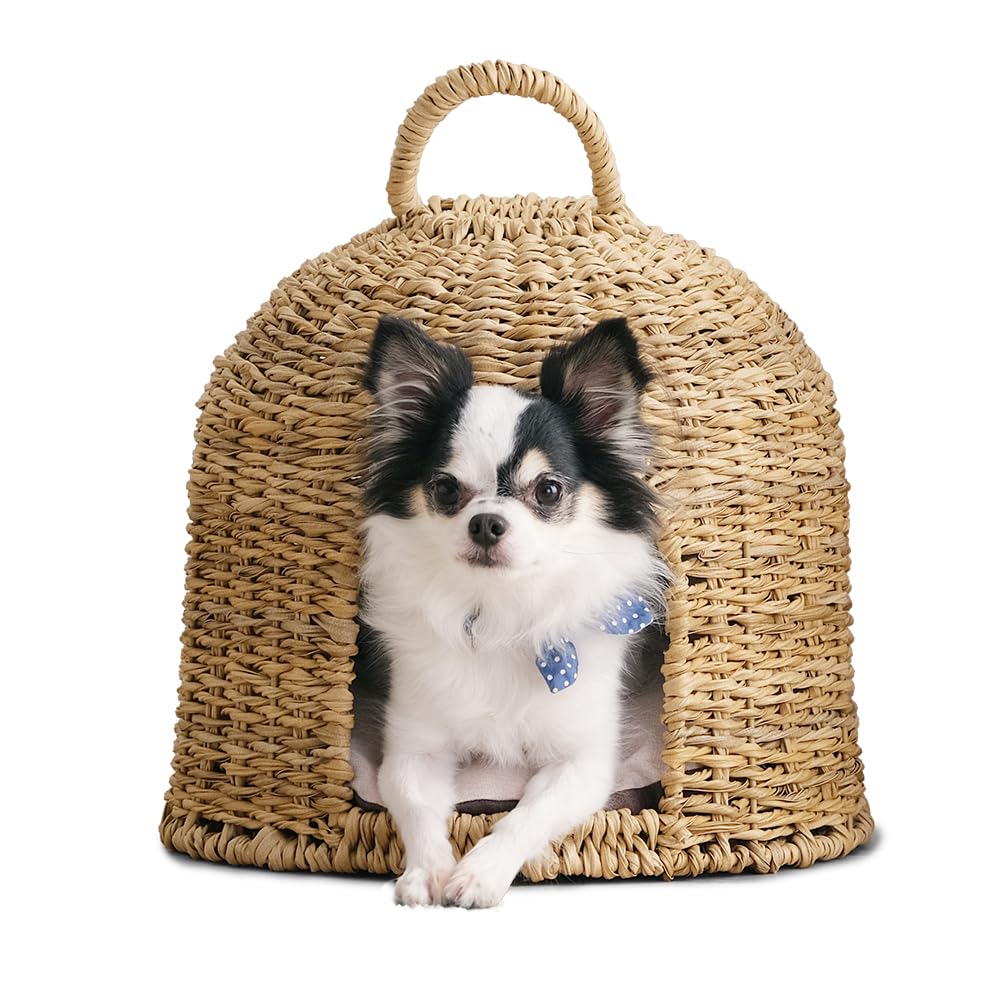 アイリスオーヤマ 犬 猫 ハウス ラタン調ペットハウス ドーム PHR-D3530 ナチュラル