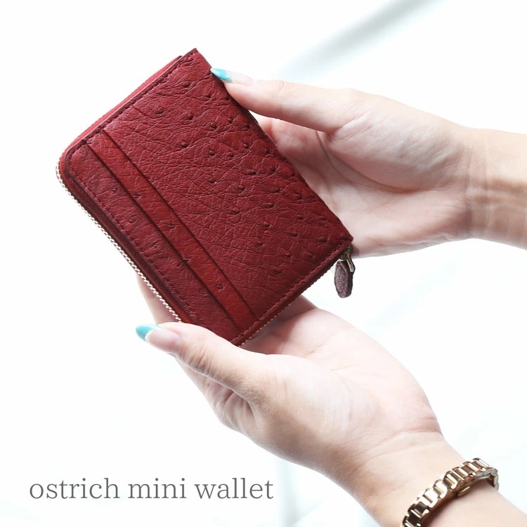 オーストリッチ コンパクト 財布 レディース 女性 ミニ財布 【ネコポスで送料無料】 ミニ コンパクト財布 小さい 小さめ 小さい財布 カード入れ ミニウォレット 本革 革 コインケース 母 親 使い