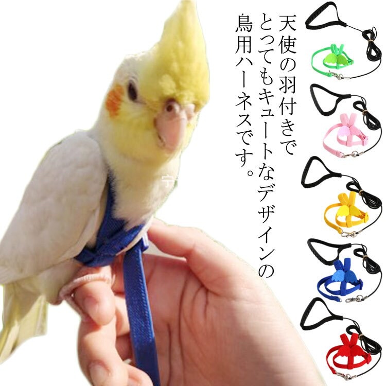 鳥のオムツL、鳥のリード、ハーネスM セット - 鳥用品