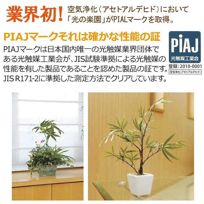 光の楽園 光触媒加工 人工観葉植物 ストレチア1.6m 115E900-27