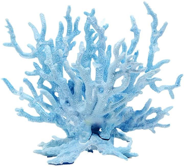 観賞用・アクアリウムなどに☆ 白サンゴ　大きめサイズ 観賞用・アクアリウムなどに☆ 白サンゴ 大きめサイズ